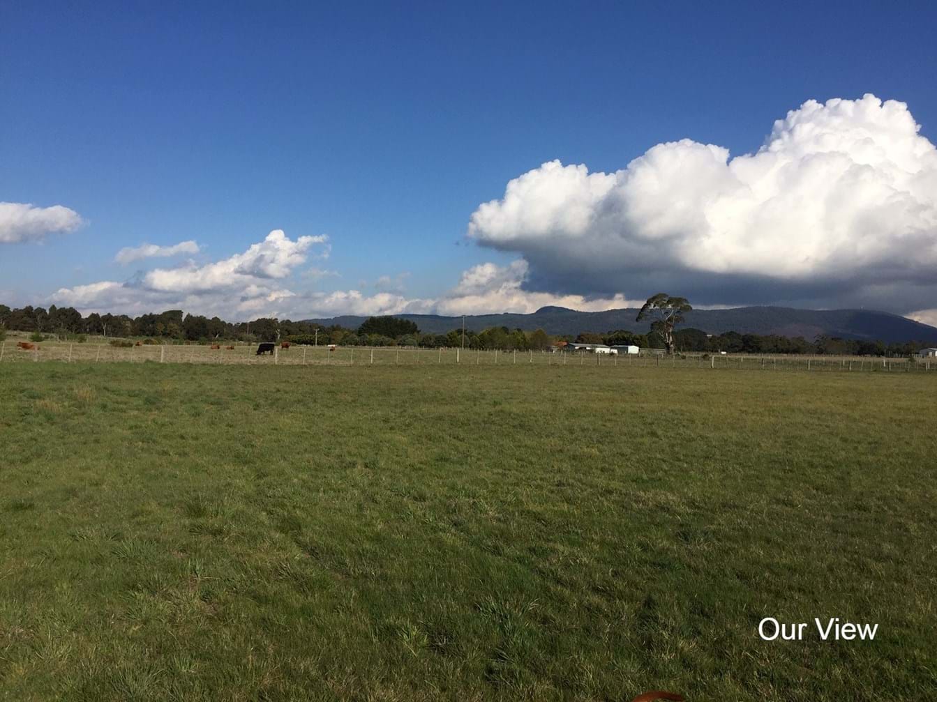 View from Macgregor's Farm